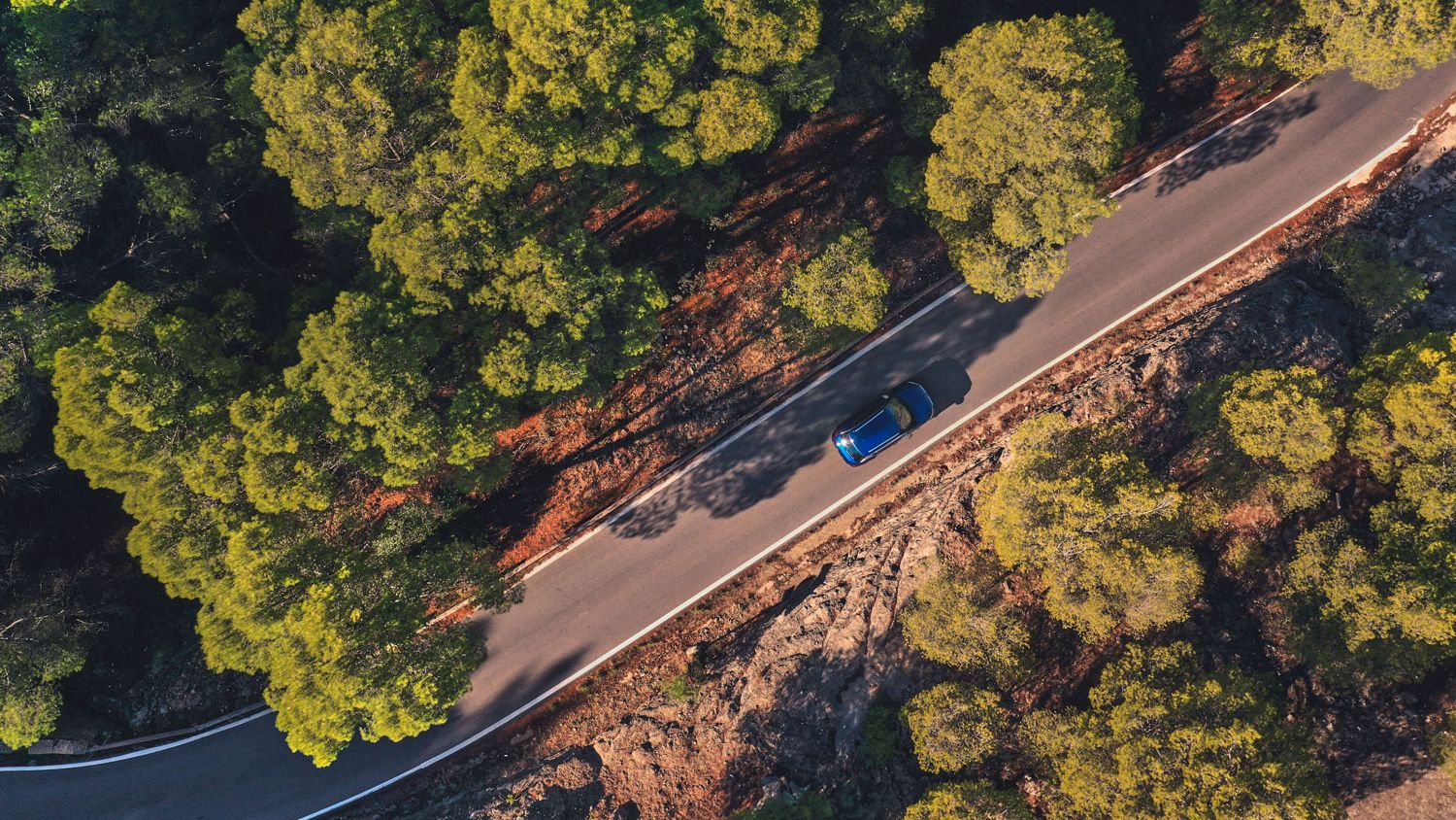 VW T-Roc R fährt auf Bergstraße