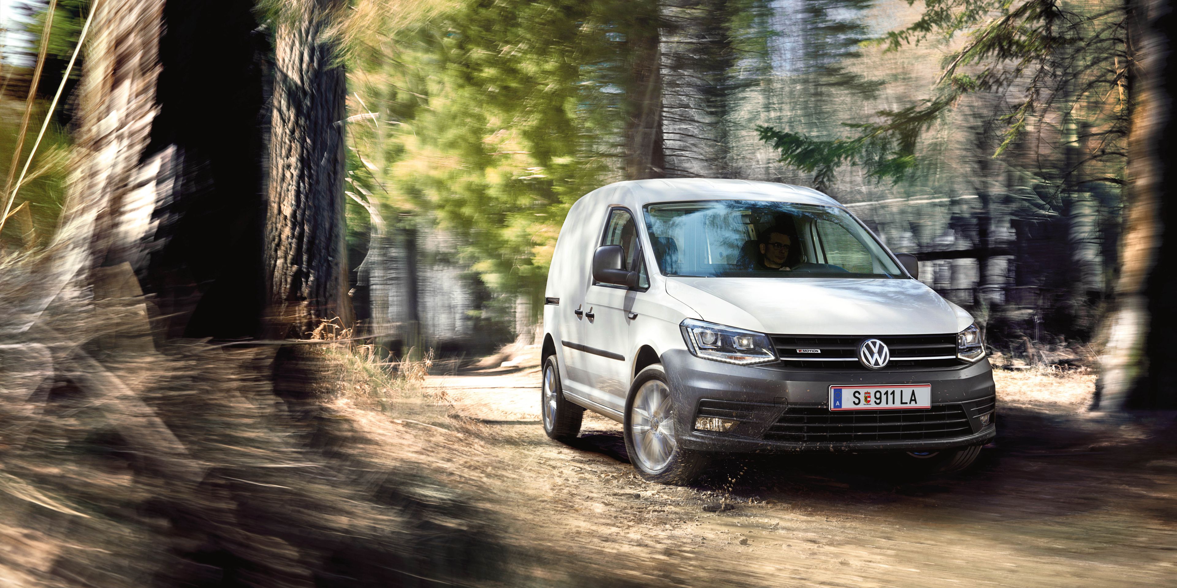 vw caddy bela gozd terenska vožnja