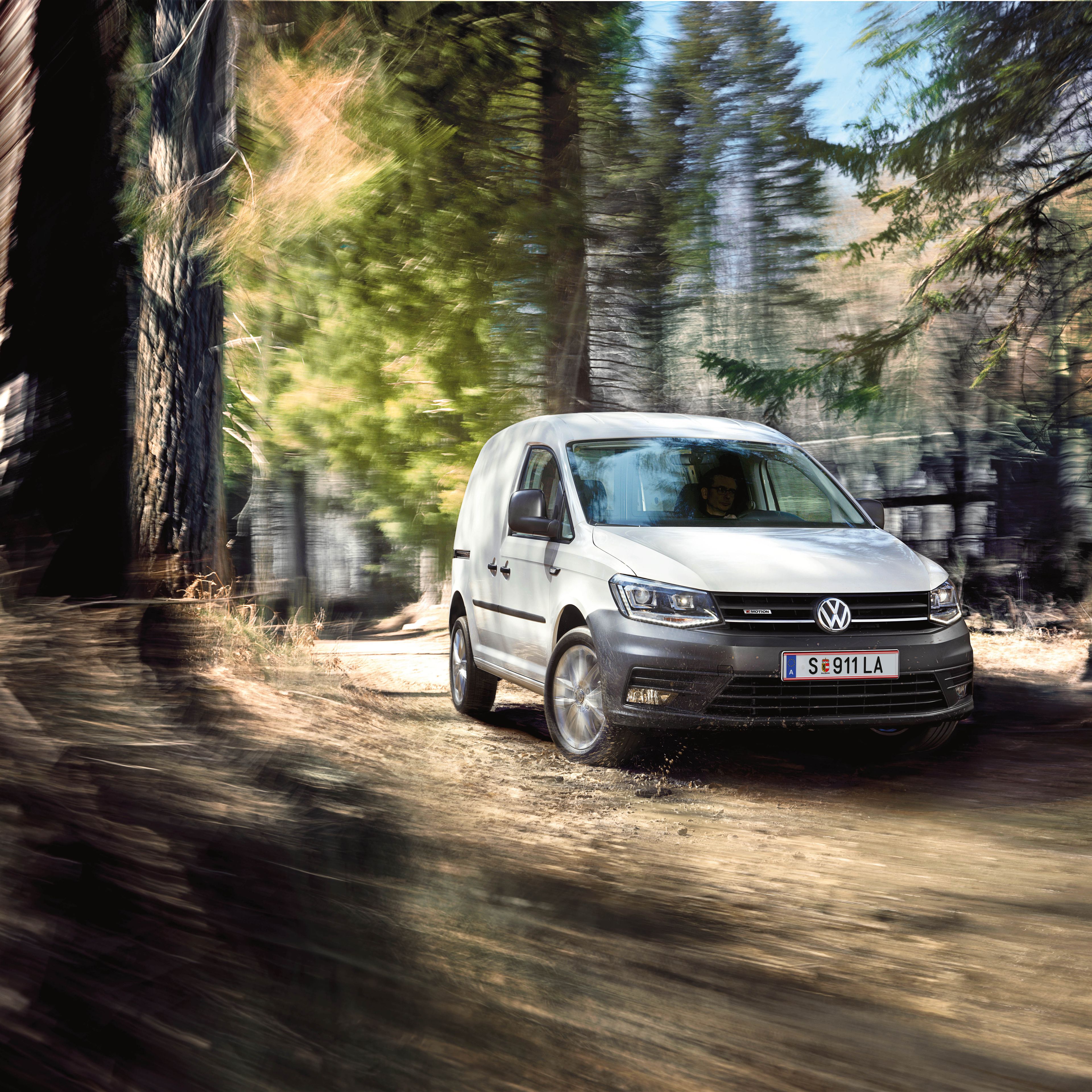 vw caddy bela gozd terenska vožnja