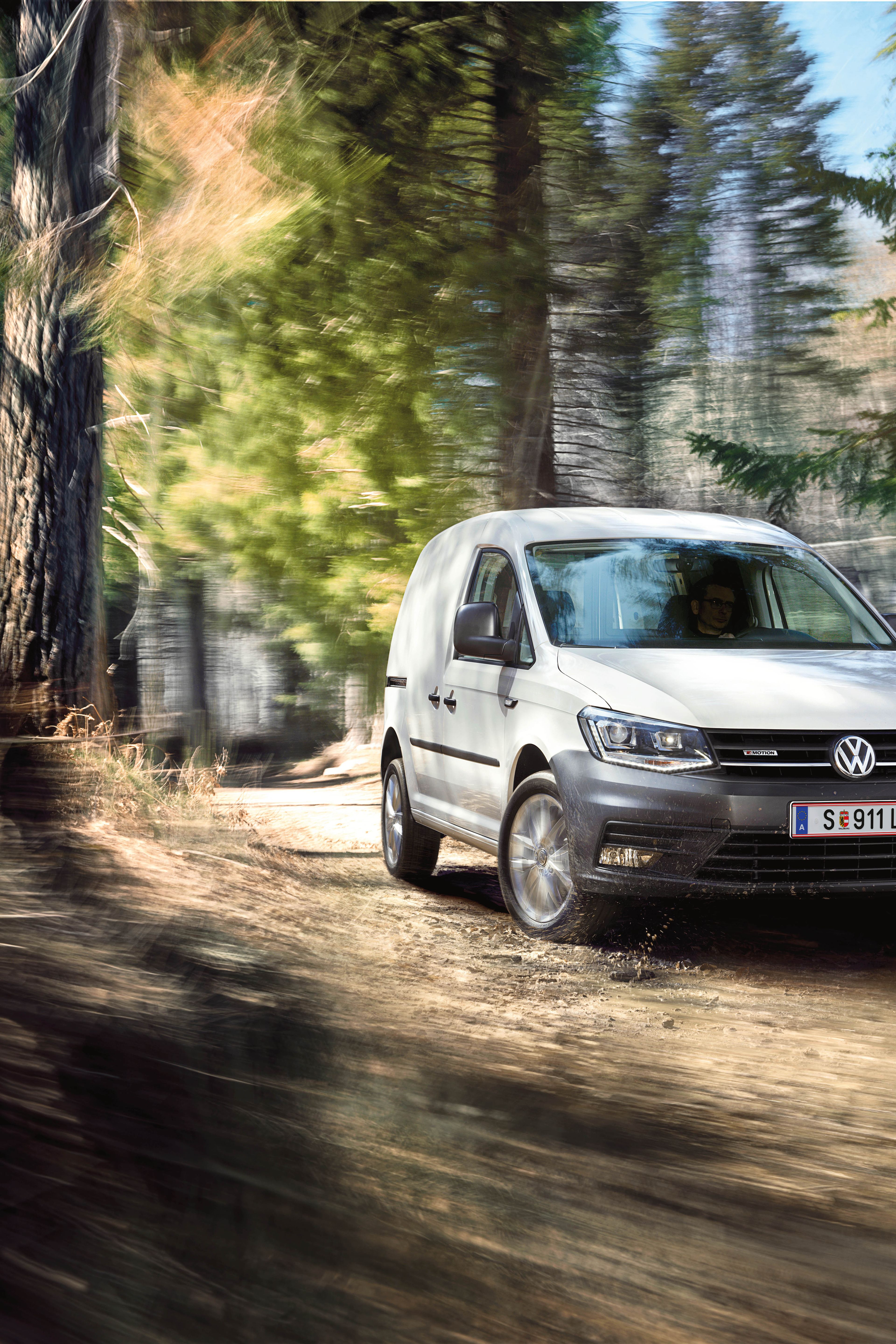 vw caddy bela gozd terenska vožnja
